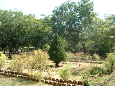 Jan04 034